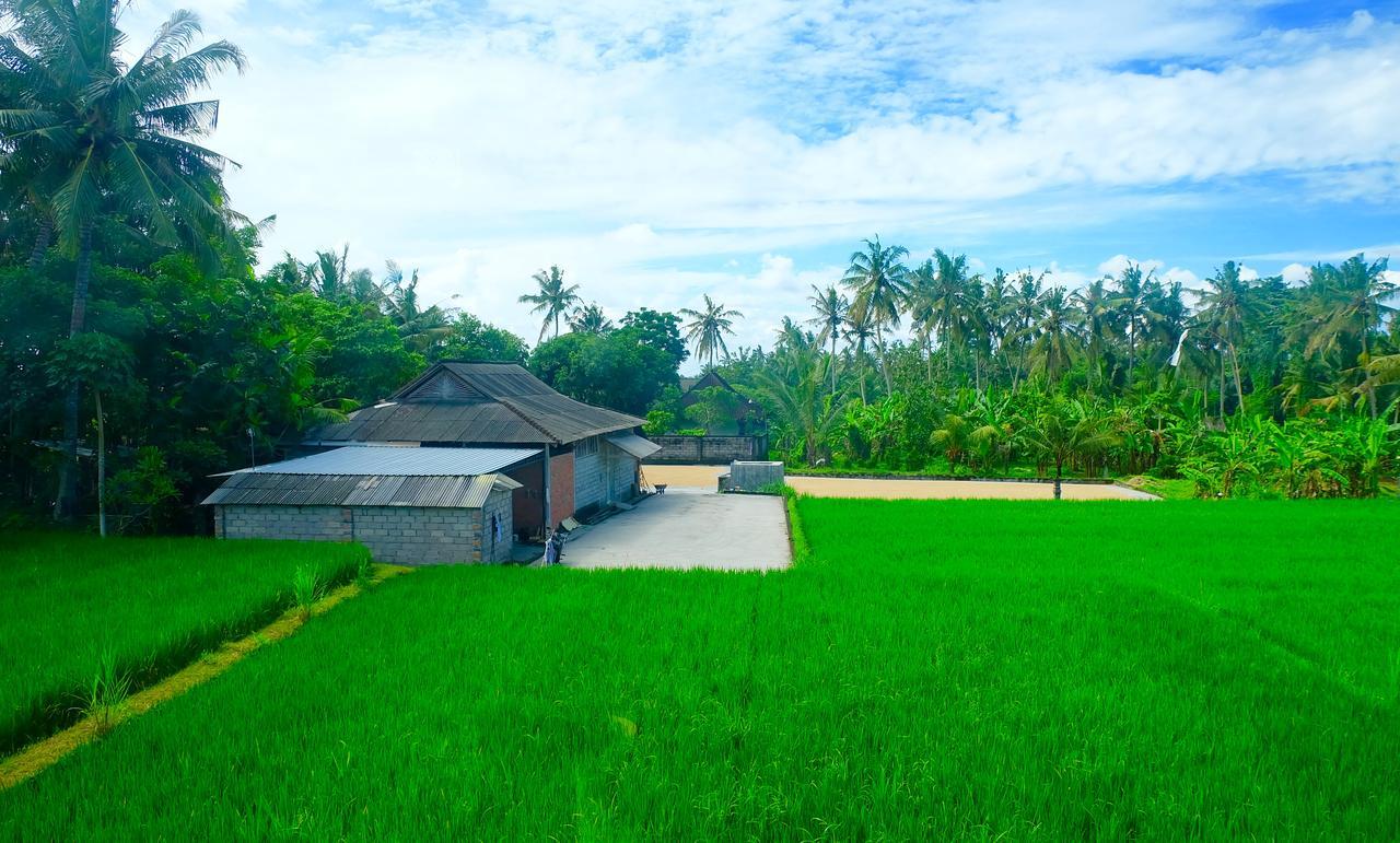 Hotel Wiki Bali Ubud Exterior foto